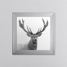 Load image into Gallery viewer, White Stag Framed Wall Art
