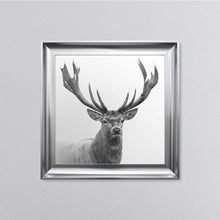Load image into Gallery viewer, White Stag Framed Wall Art
