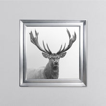 Load image into Gallery viewer, White Stag Framed Wall Art

