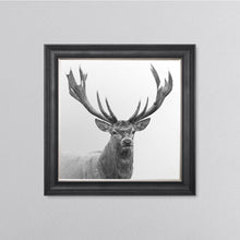 Load image into Gallery viewer, White Stag Framed Wall Art
