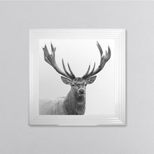 Load image into Gallery viewer, White Stag Framed Wall Art

