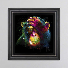Load image into Gallery viewer, Darwin Monkey Framed Wall Art
